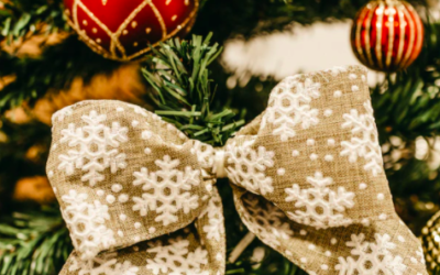 7 Fun Things To See and Do around Calgary this December