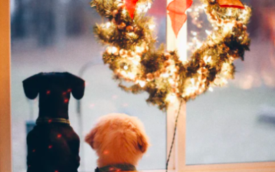 CHRISTMAS MARKETS to Buy Your Gifts From in CALGARY