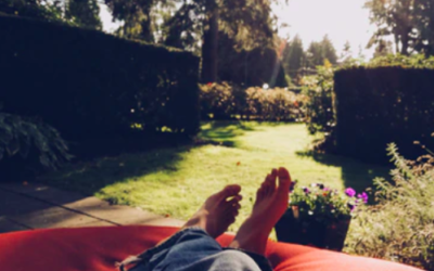 Transform Your Backyard From Drab to Fab