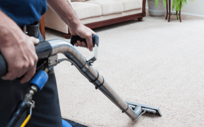 You WON’T BELIEVE what’s Hidden in your Carpet – Clean it to Find Out!