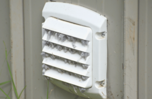 Cleaning Dryer Vent