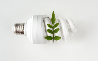 5 Easy Ways you can Check your Energy Consumption at Home in Calgary